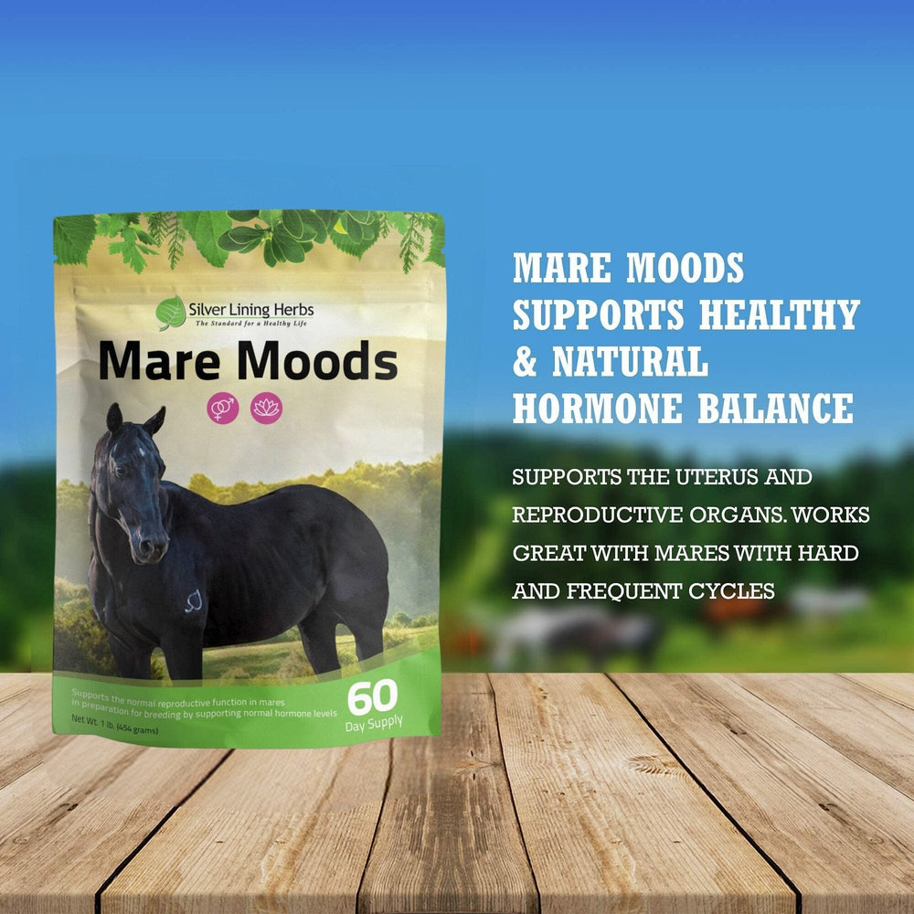 Silver Lining Herbs Mare Moods For Horses