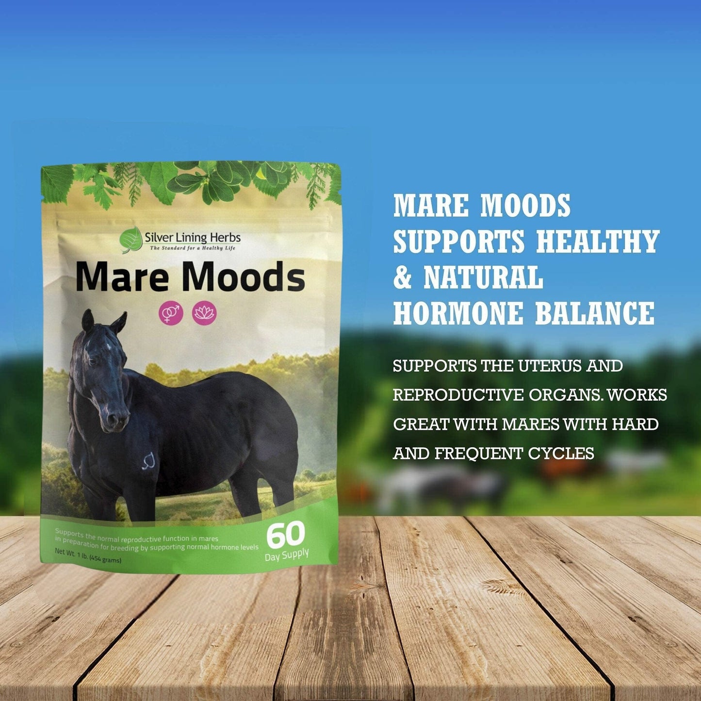Silver Lining Herbs Mare Moods For Horses