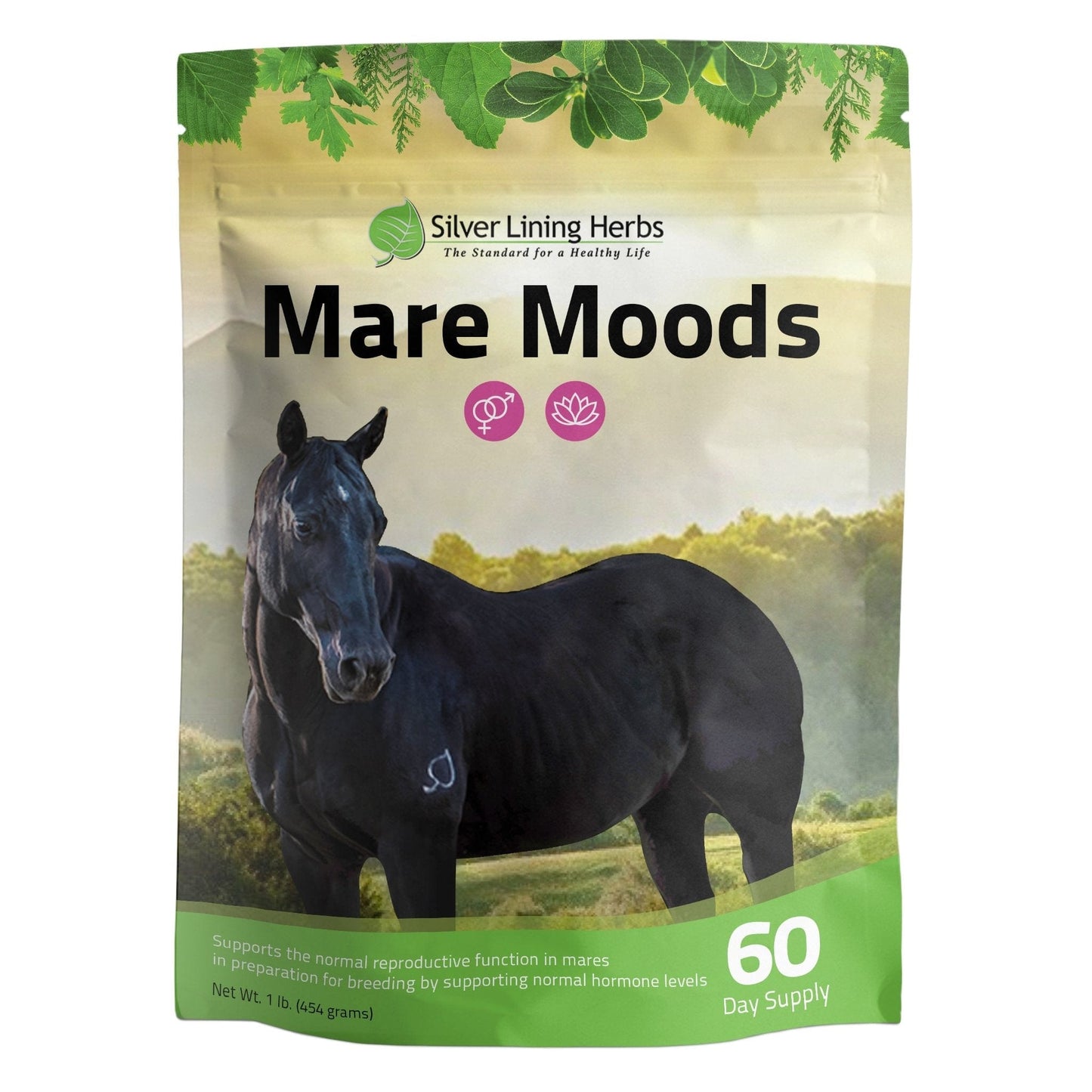 Silver Lining Herbs Mare Moods For Horses