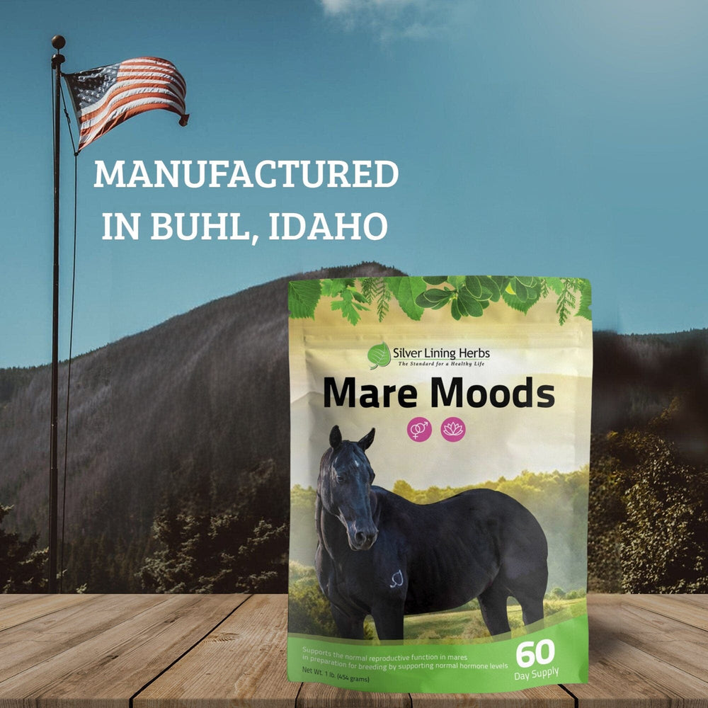Silver Lining Herbs Mare Moods For Horses