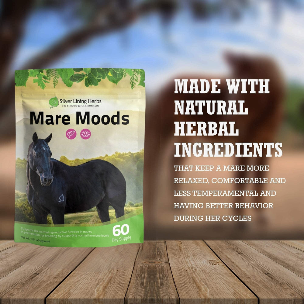Silver Lining Herbs Mare Moods For Horses