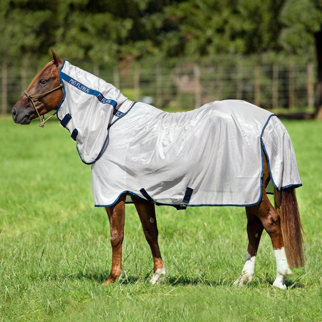 Mio Fly Rug - Corro