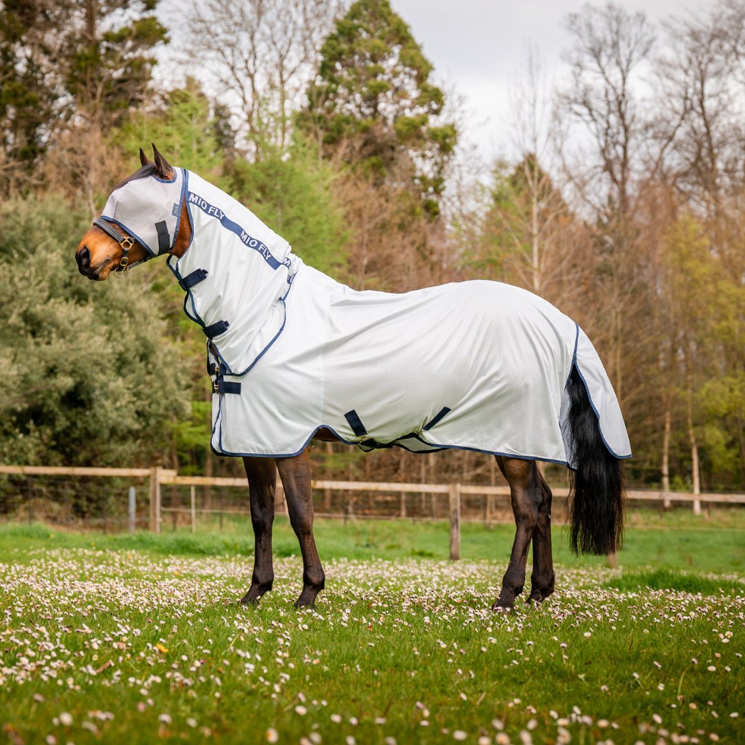 Mio Fly Rug - Corro