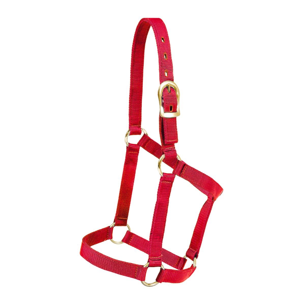 Mustang Economy Halter - Corro