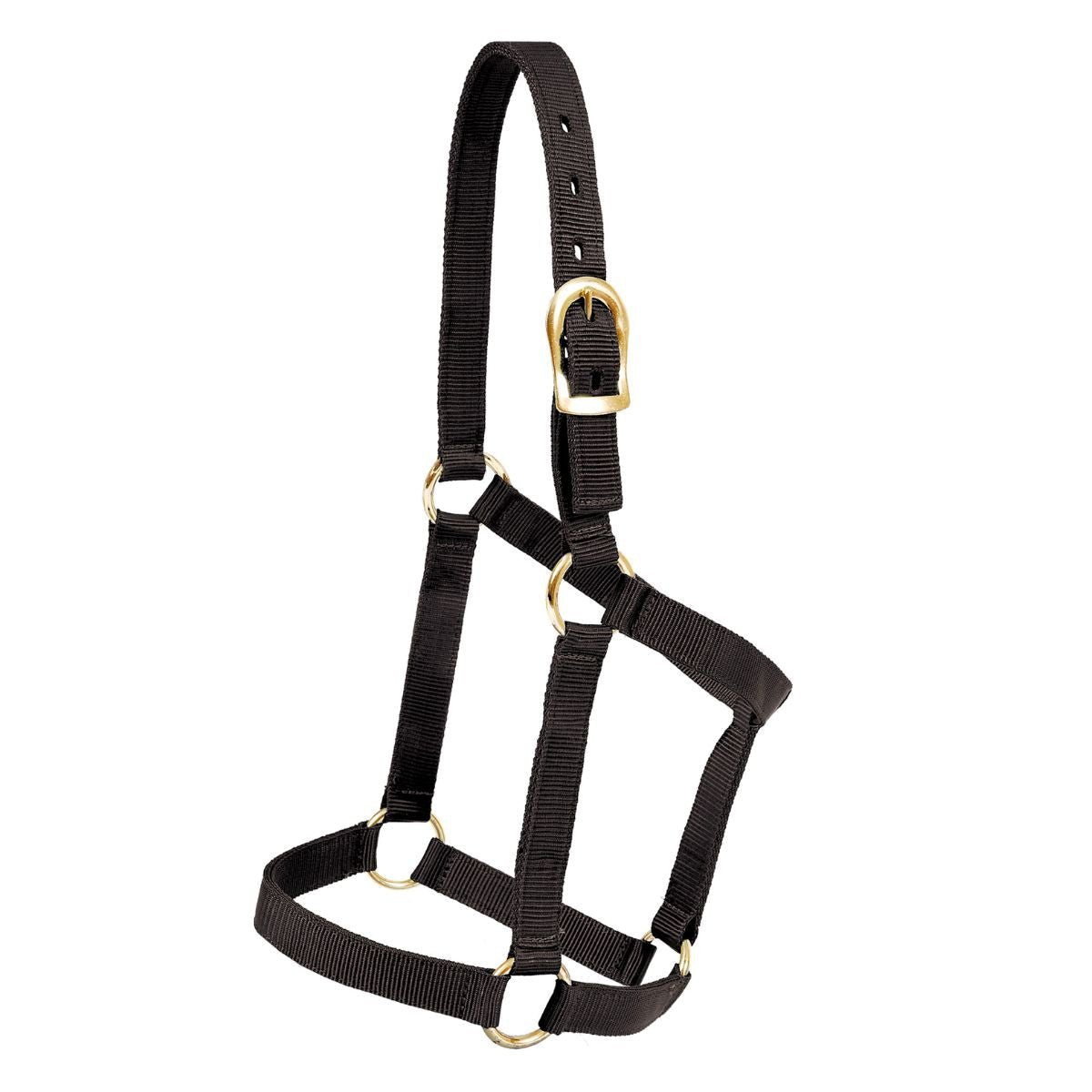 Mustang Economy Halter - Corro