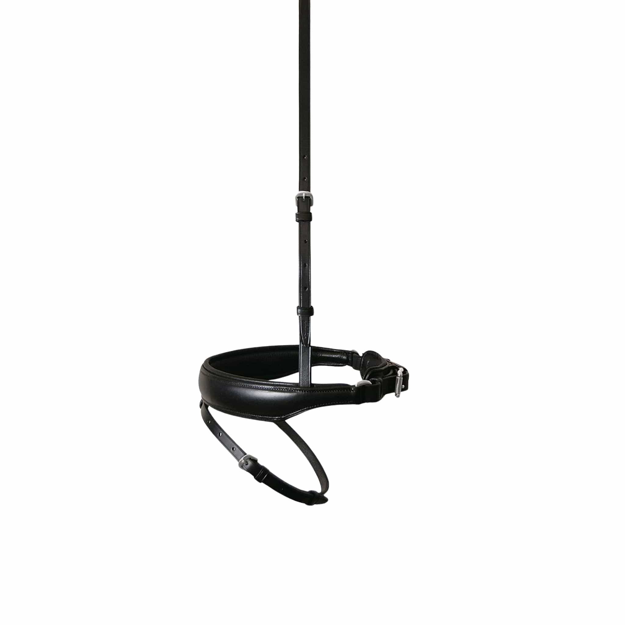Passier Special Caveson with Bit Ring Recess | Corro