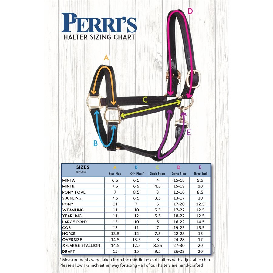 Perri's Leather Shipping Halter - Corro