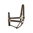 Perri's Leather Track Style Show Halter - Corro