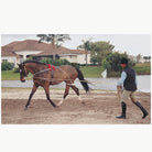 Pessoa Lunging System - Corro