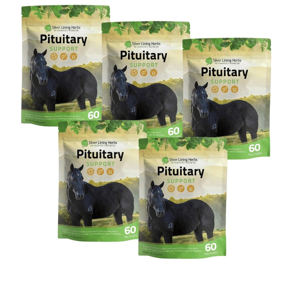 Silver Lining Herbs Pituitary Support for Horses