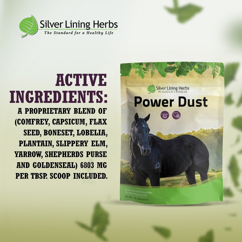Silver Lining Herbs Power Dust for Horses