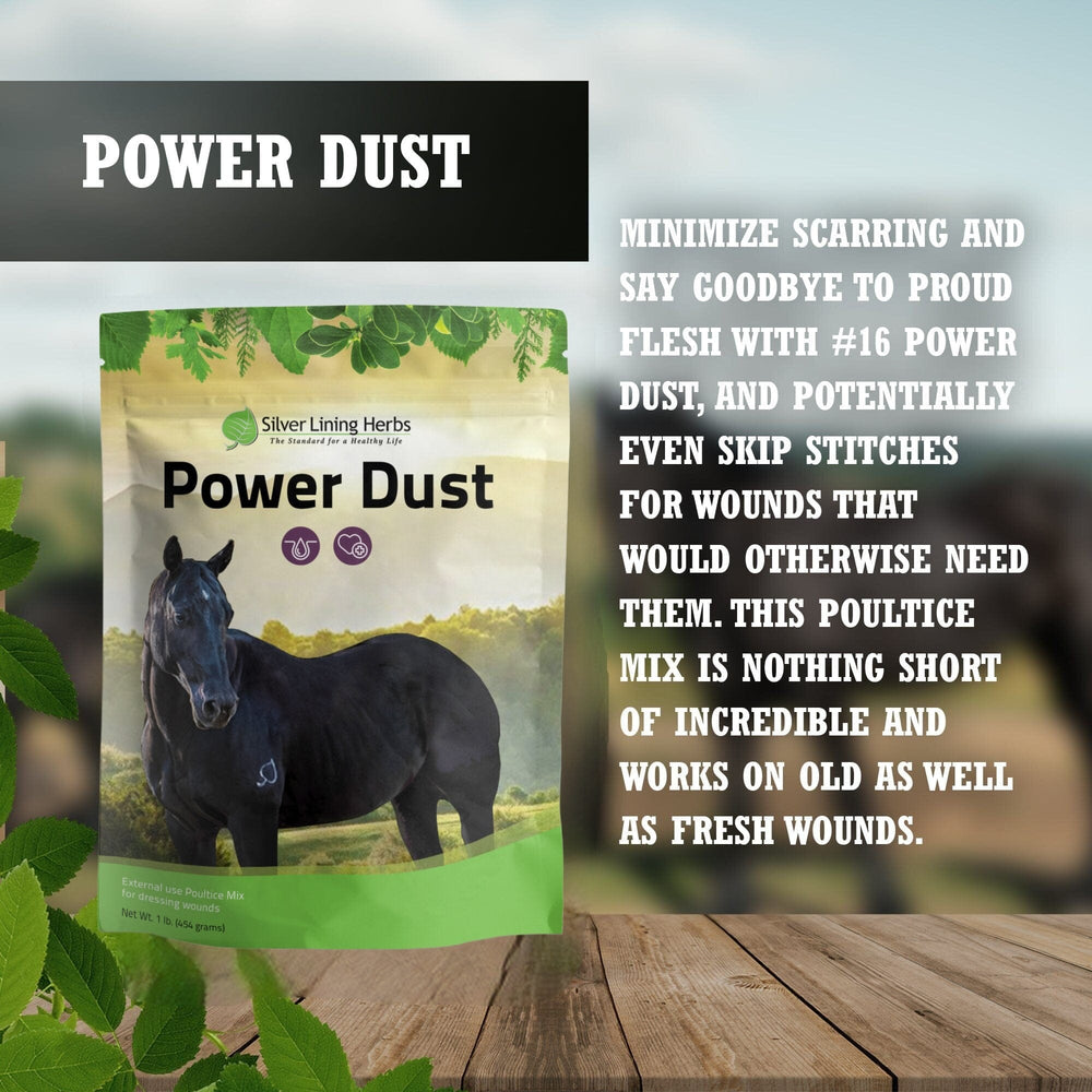 Silver Lining Herbs Power Dust for Horses