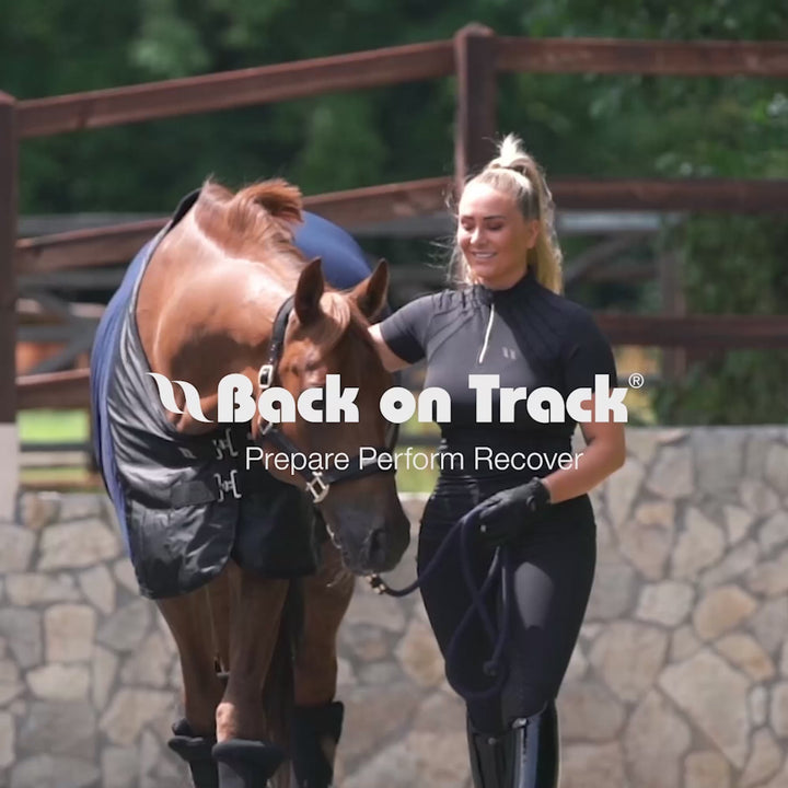 Back on Track Royal Therapeutic Hock Wraps Deluxe