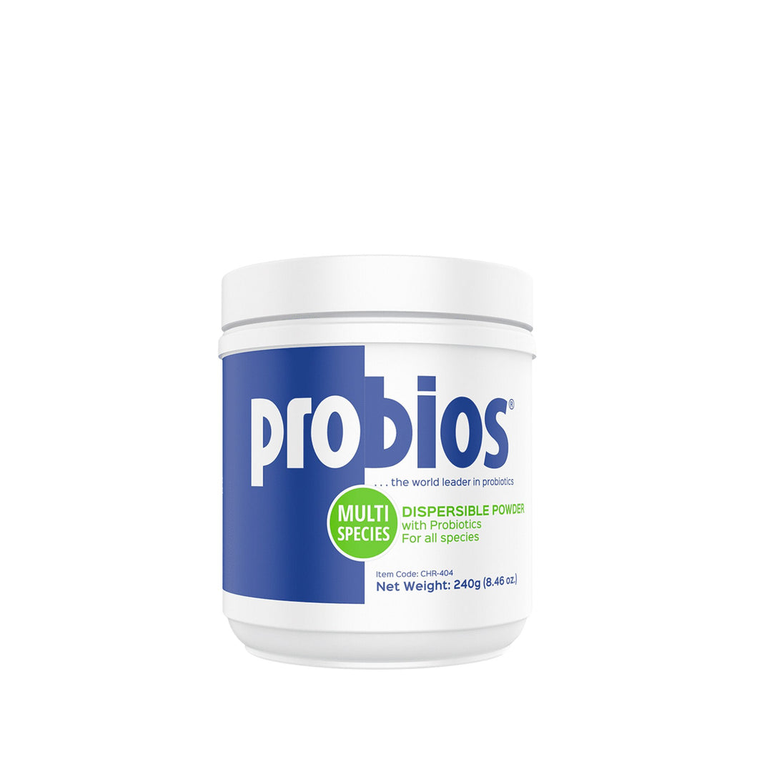 Probios Dispersible Powder - Corro