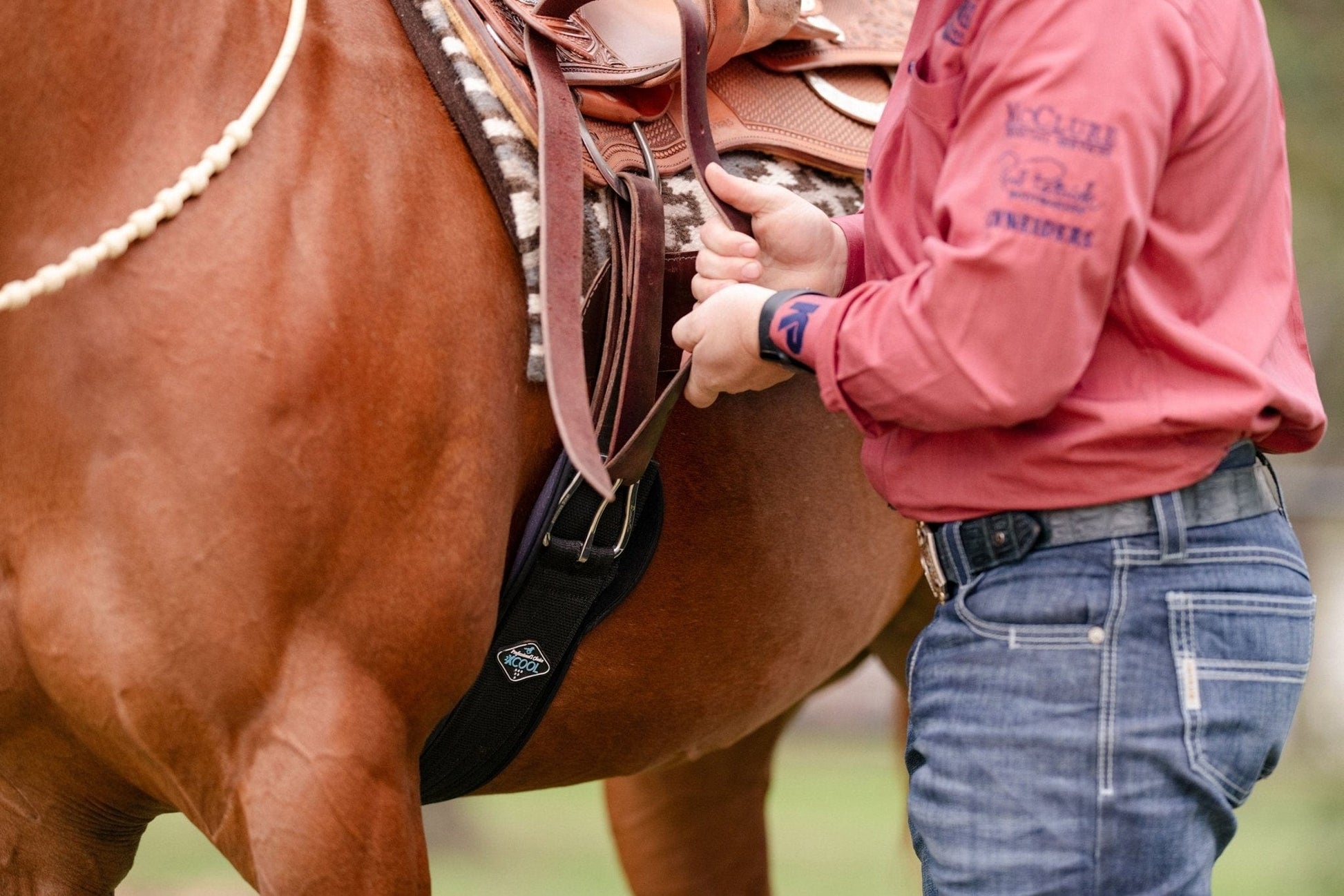 Professional's Choice 2xCool Cinch - Corro