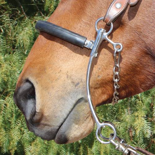 Professional's Choice Brittany Pozzi Collection Short Hackamore Bit - Corro