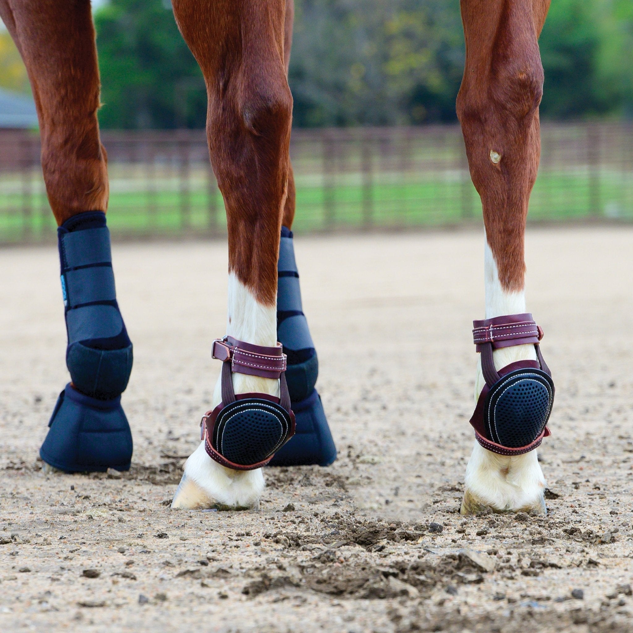 Professional's Choice Leather Skid Boots with Buckle - Corro