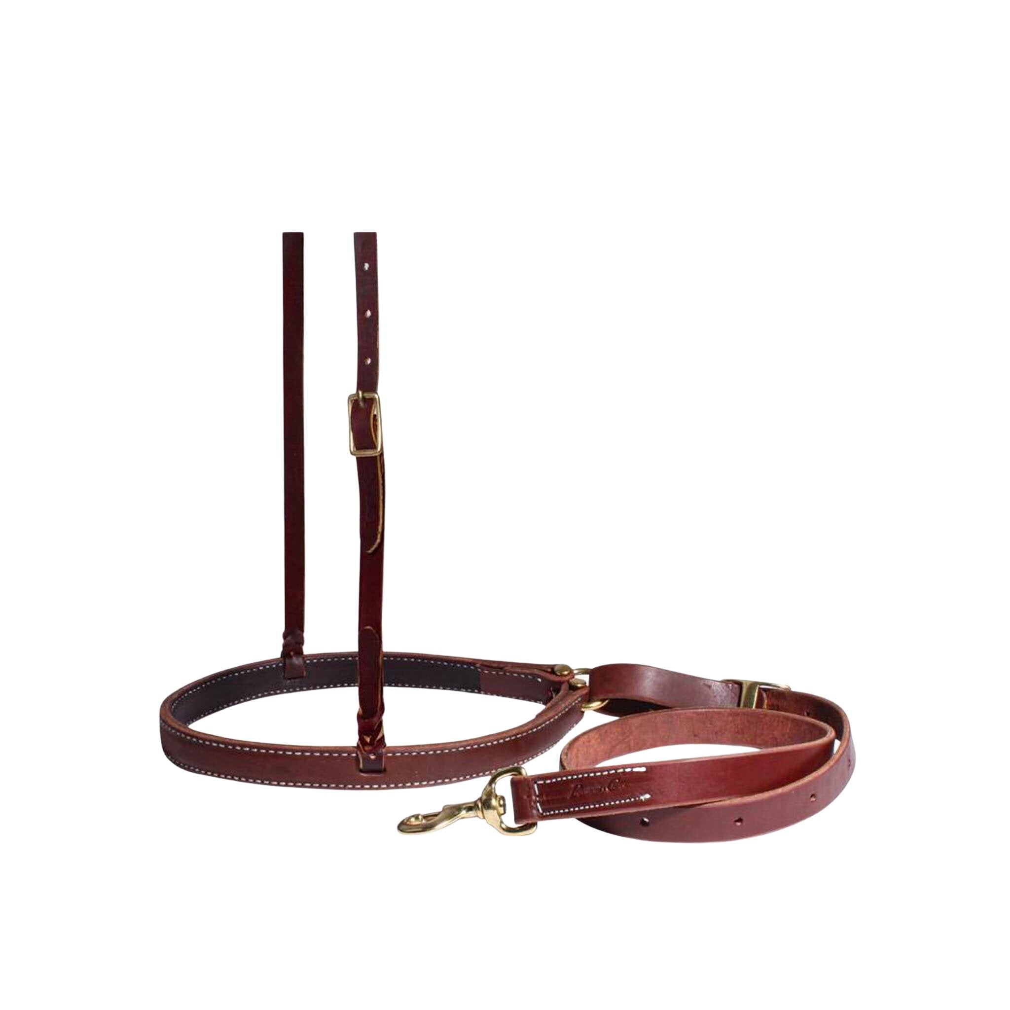 Professional's Choice Ranch Tiedown Set - Corro