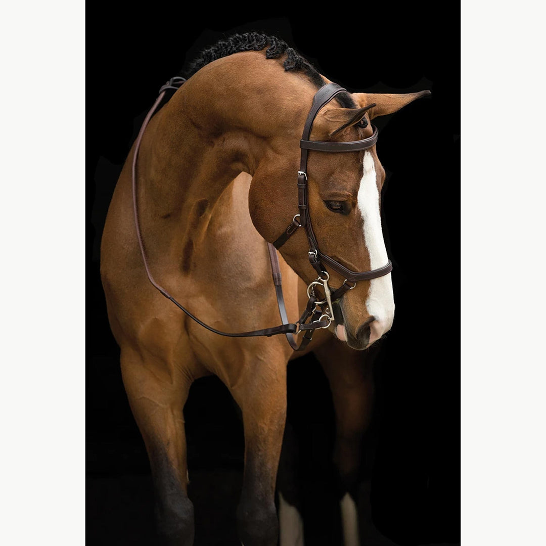 Rambo Micklem Original Competition Bridle - Corro