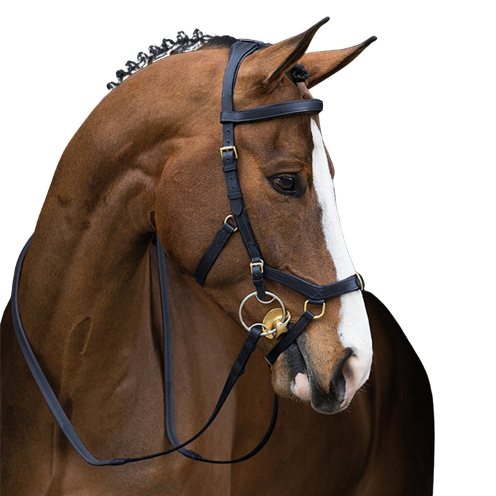 Rambo Micklem Original Multibridle with Reins - Corro