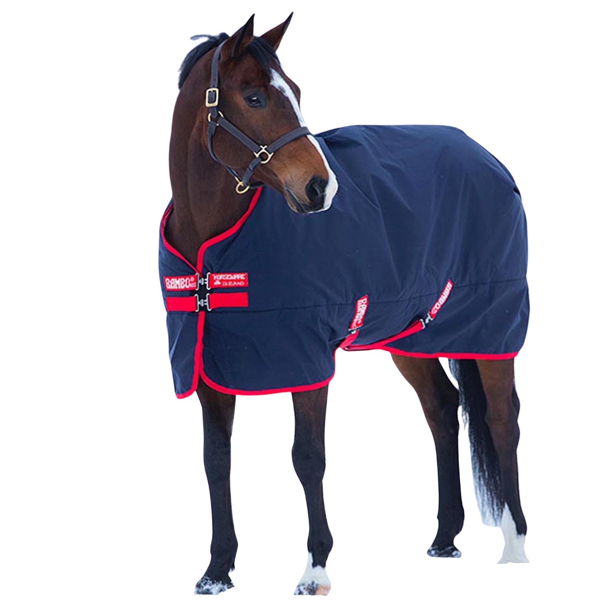 Rambo Original Turnout Blanket (200g Medium) - Corro