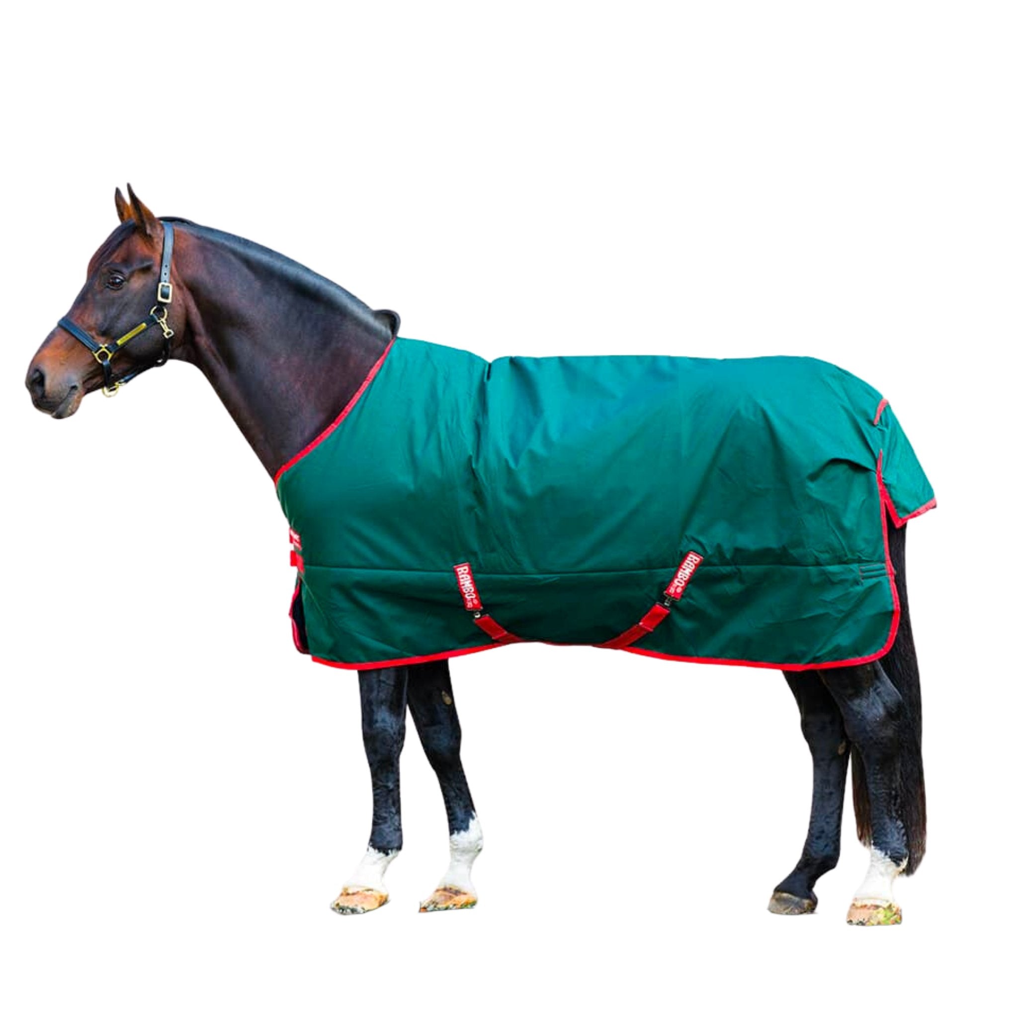 Rambo Original Turnout Blanket (Heavy 400g) - Corro