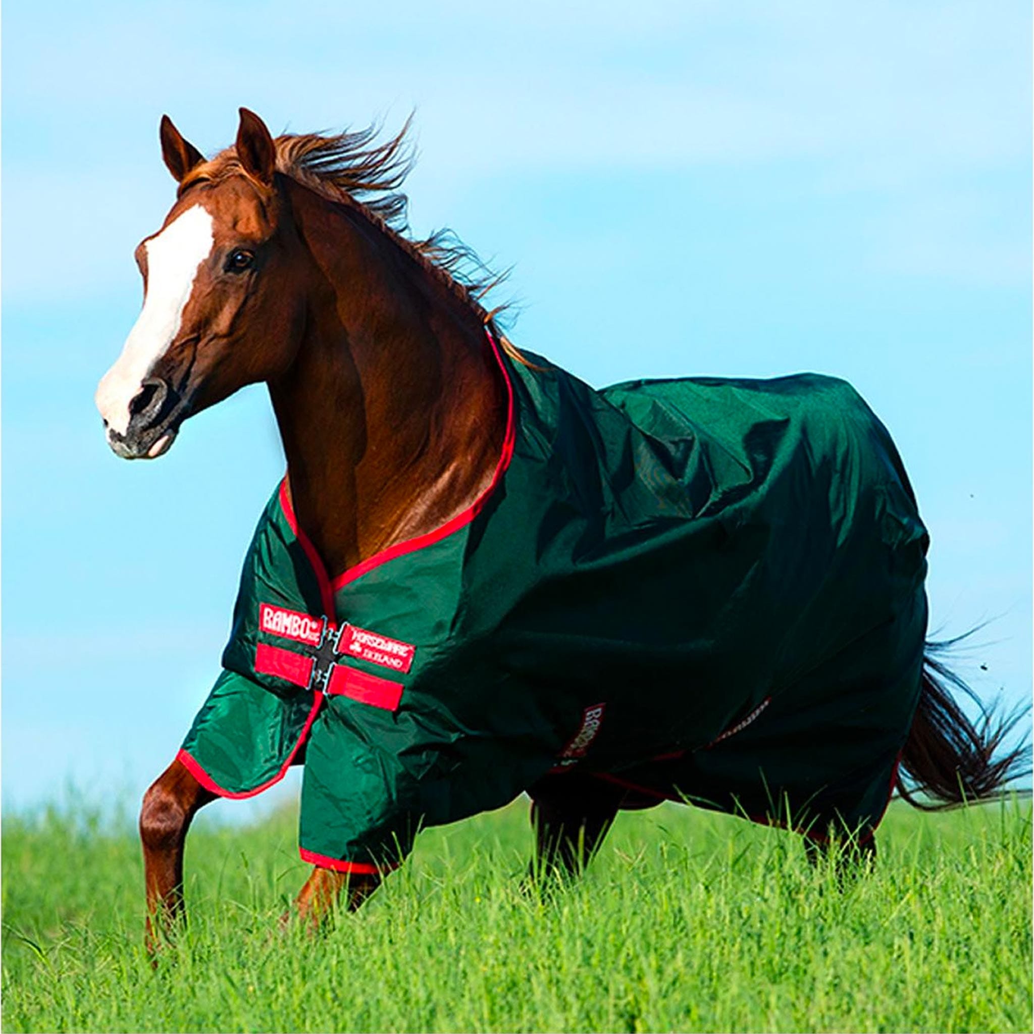 Rambo Original Turnout Sheet (0g Lite) | Corro