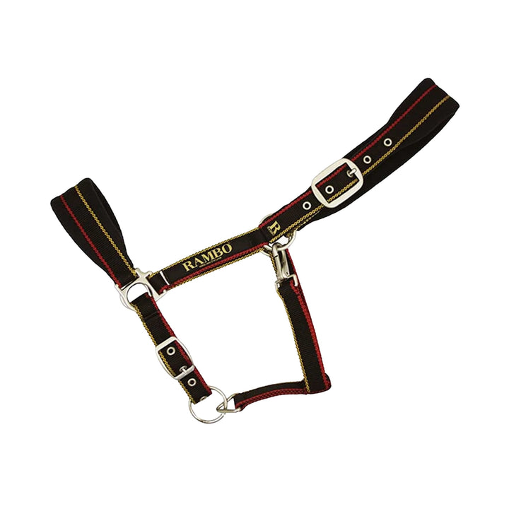 Rambo Padded Halter - Corro