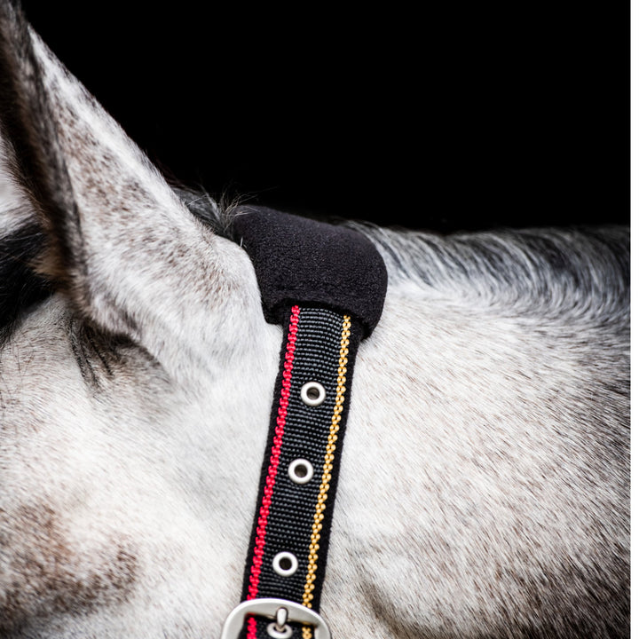 Rambo Padded Halter - Corro