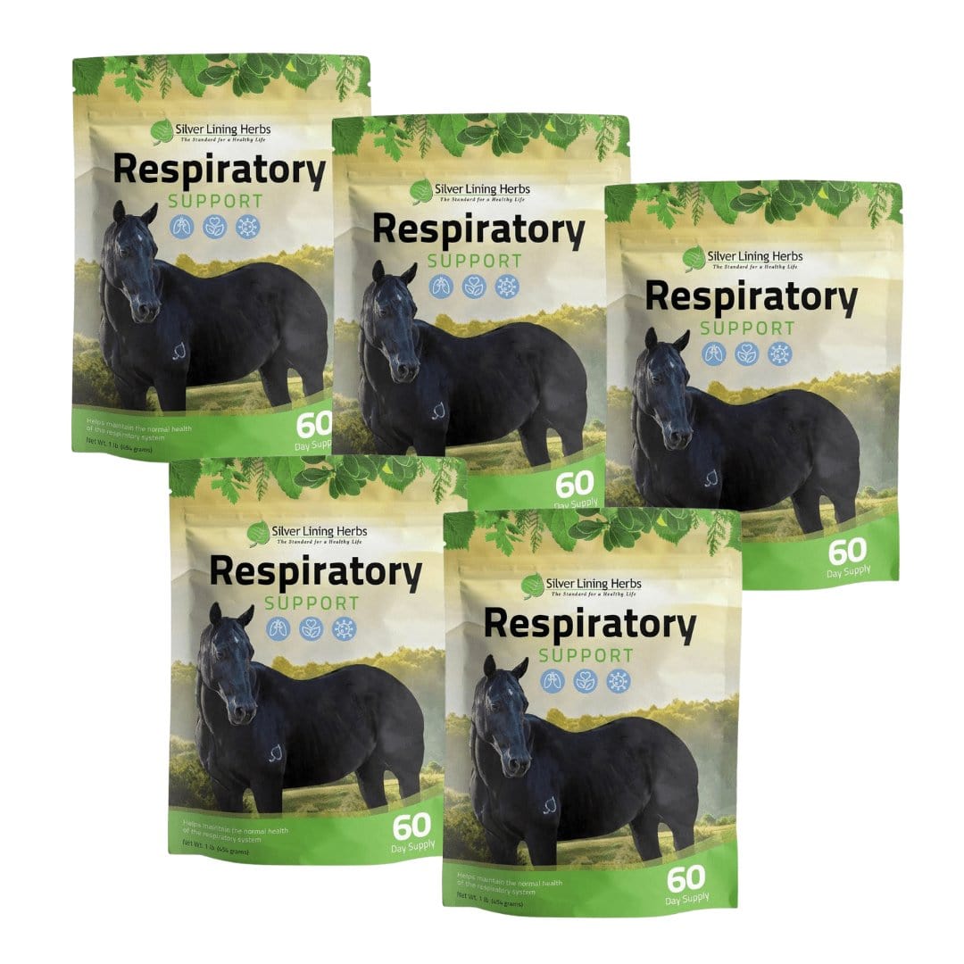 Silver Lining Herbs Respiratory Support for Horses