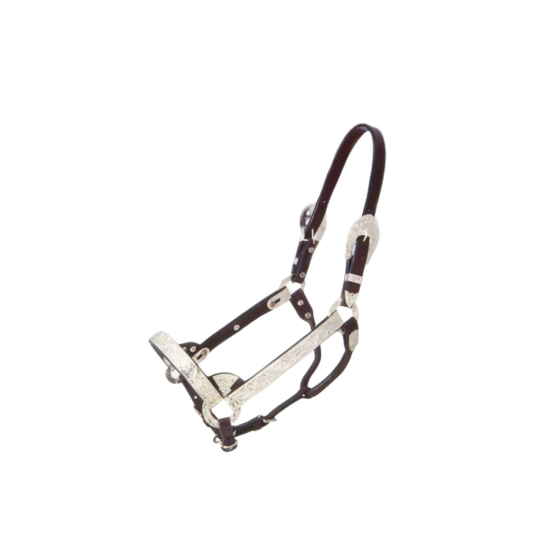 Royal King Deluxe Congress Show Halter - Corro