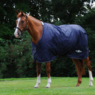 Saxon Defiant 600D Standard Neck Turnout Sheet Lite - Corro