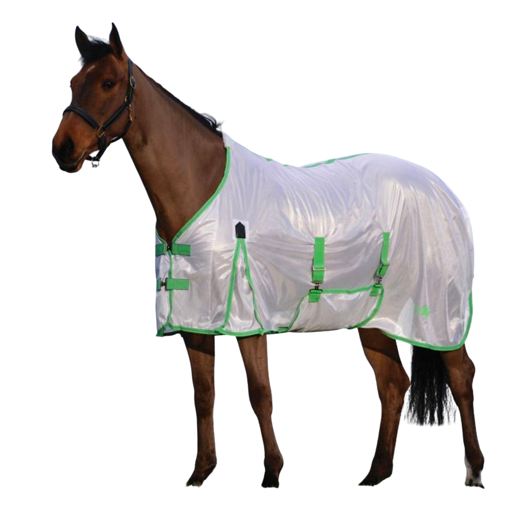 WeatherBeeta Plus Dynamic II 220g High Neck Rug - Hunter Green