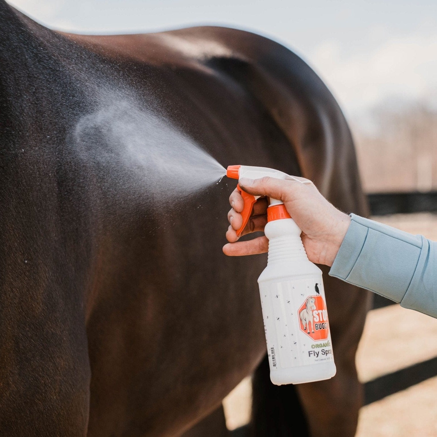 Fly & Insect Control | Corro