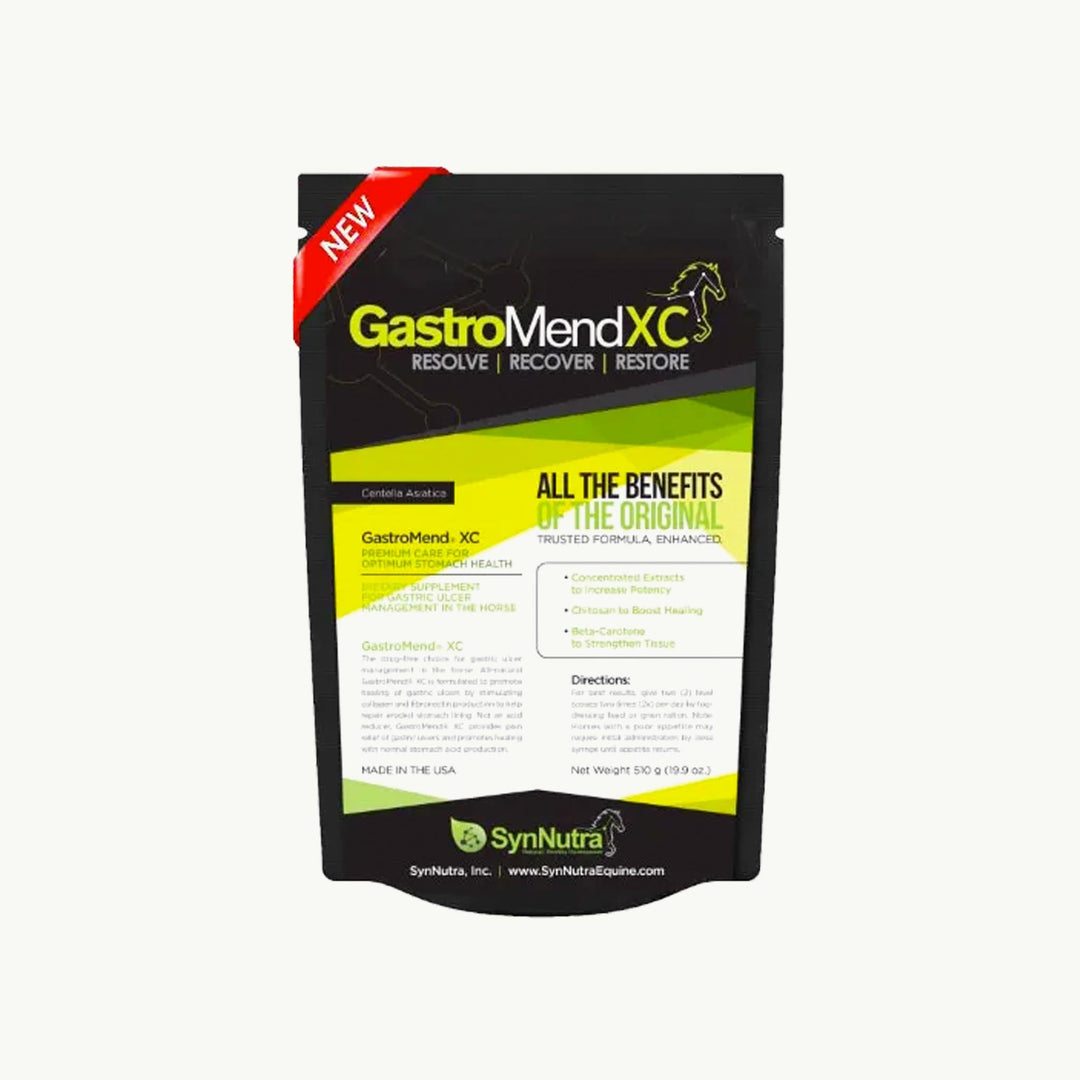 SynNutra GastroMend XC - Corro