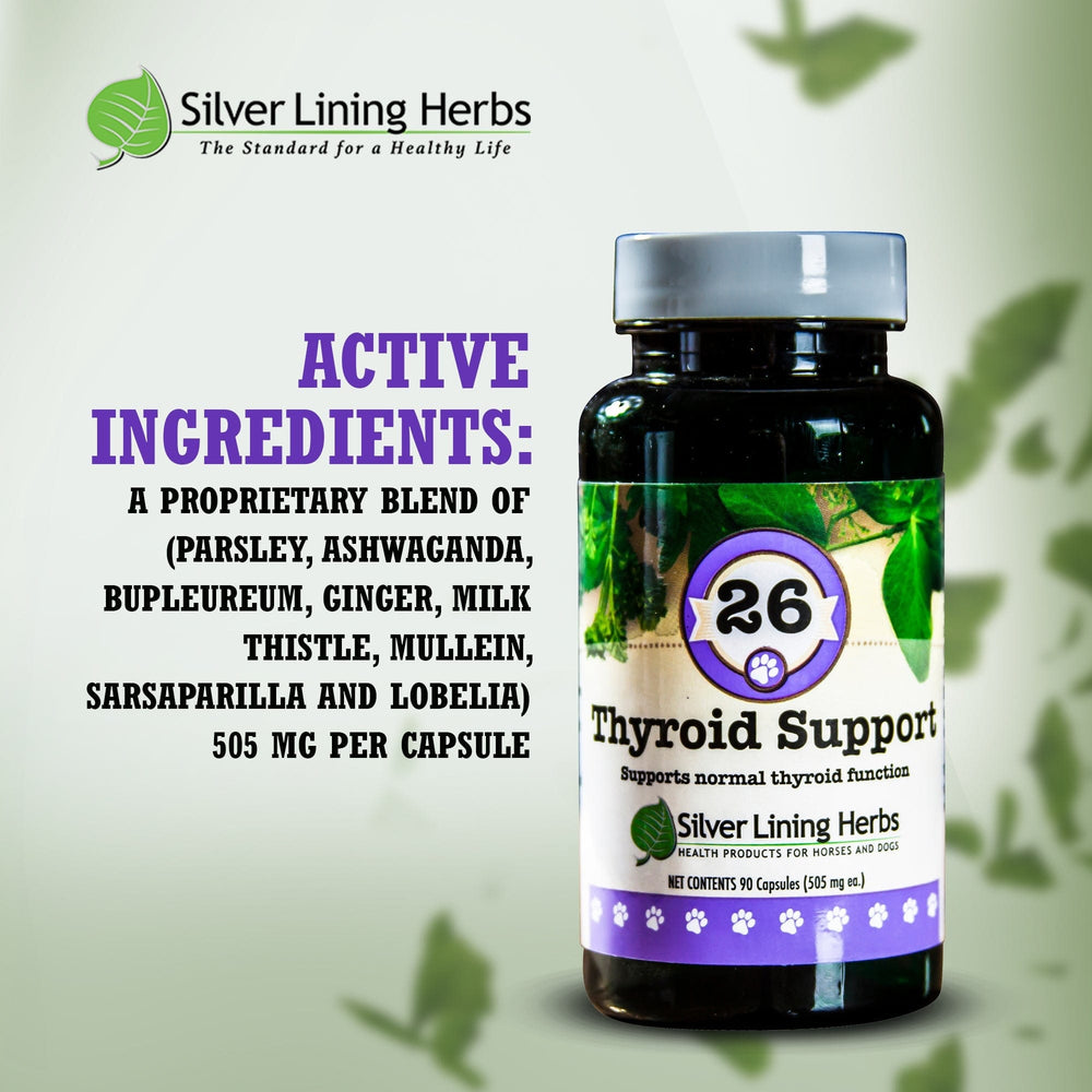 Silver Lining Herbs Thyroid Support for Canines