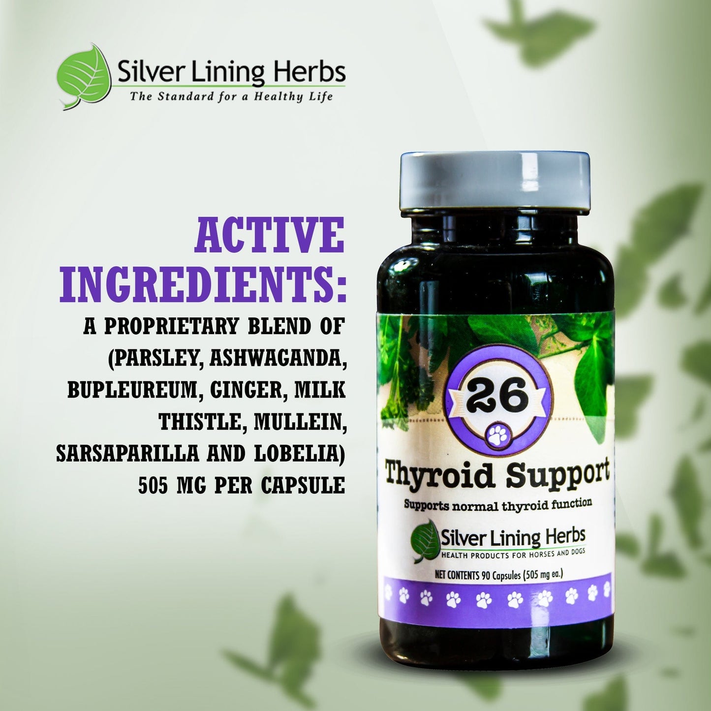 Silver Lining Herbs Thyroid Support for Canines