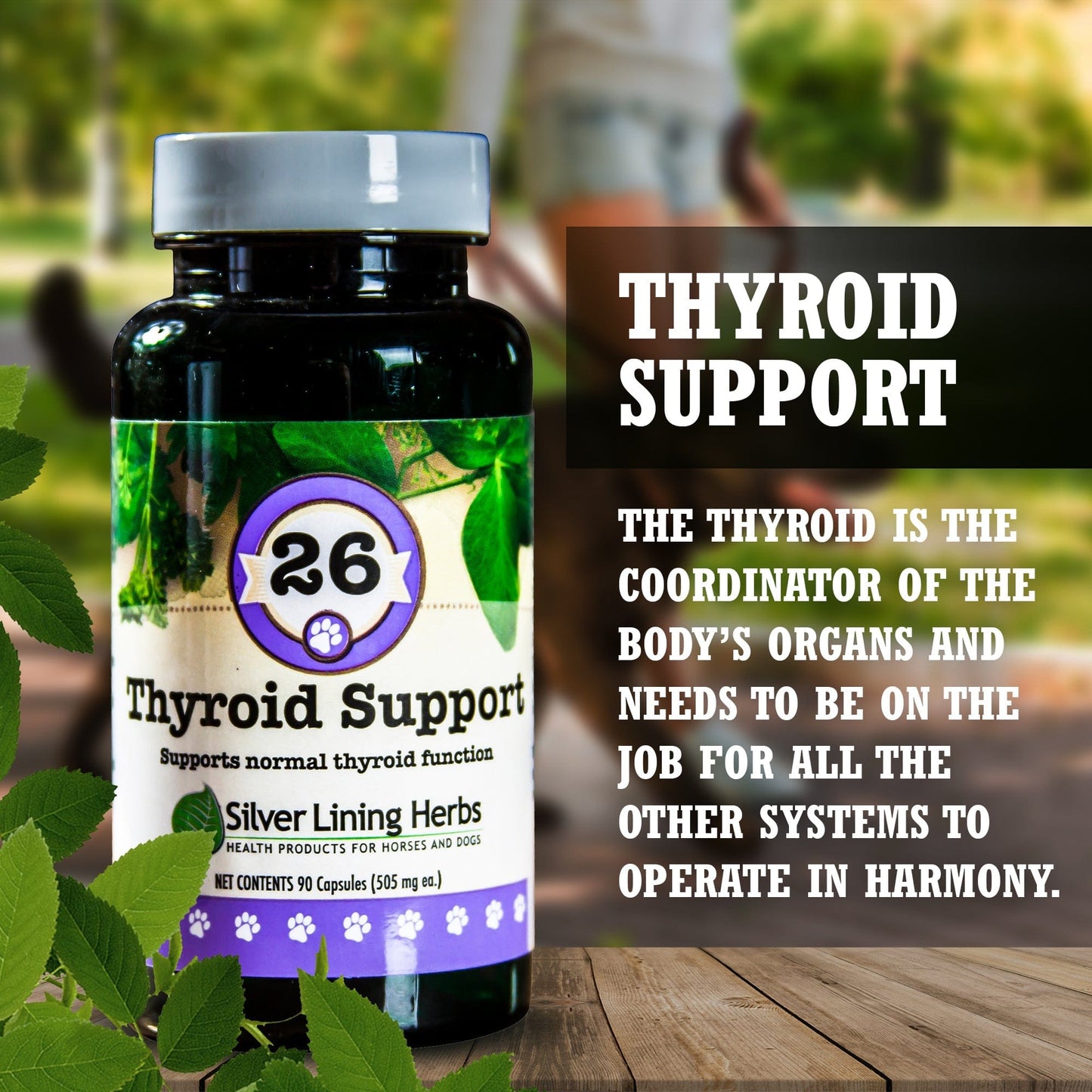 Silver Lining Herbs Thyroid Support for Canines