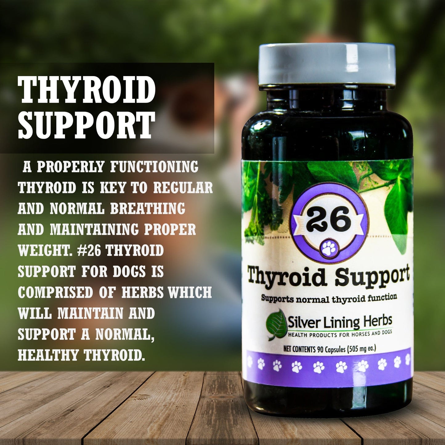 Silver Lining Herbs Thyroid Support for Canines