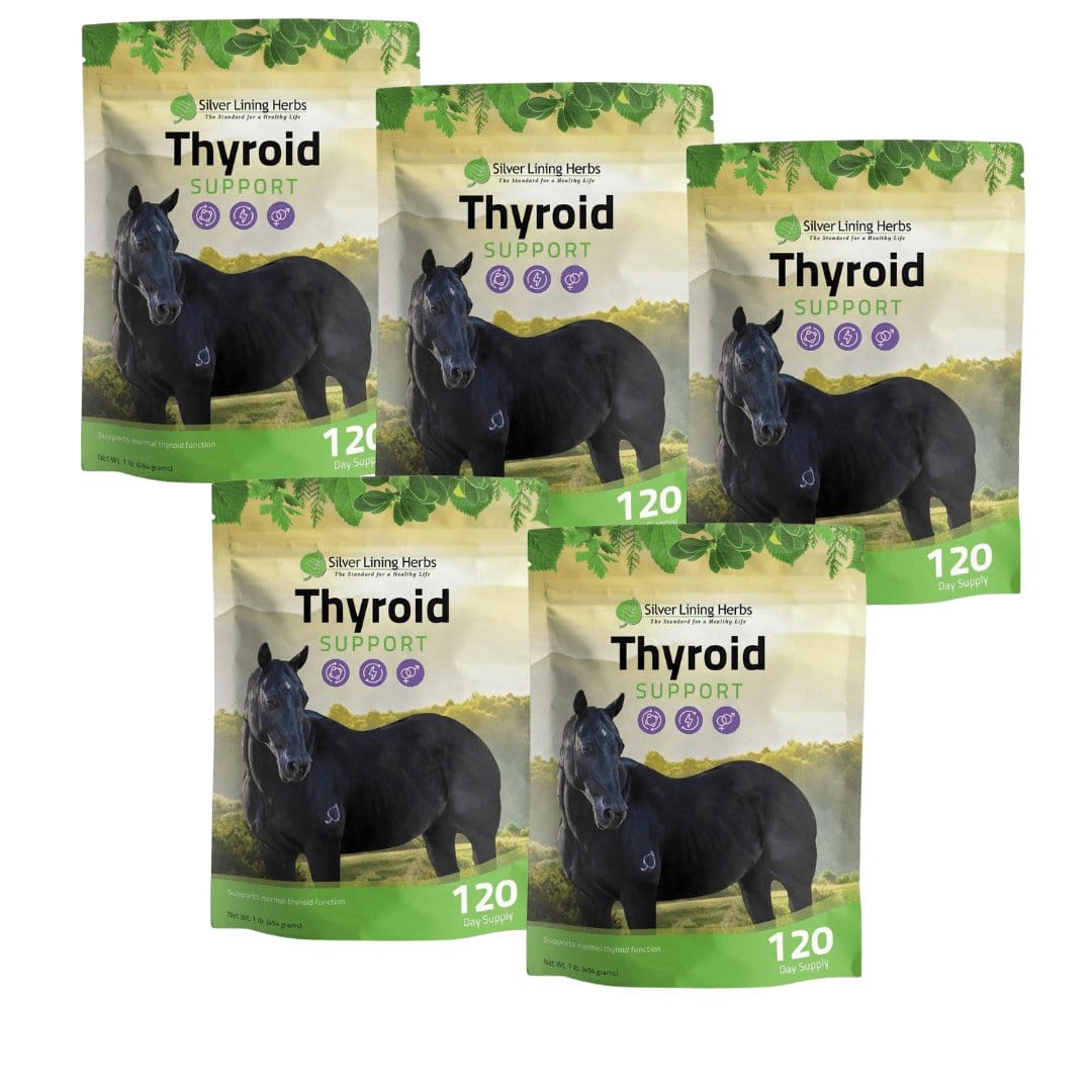 Silver Lining Herbs Thyroid Support for Horses