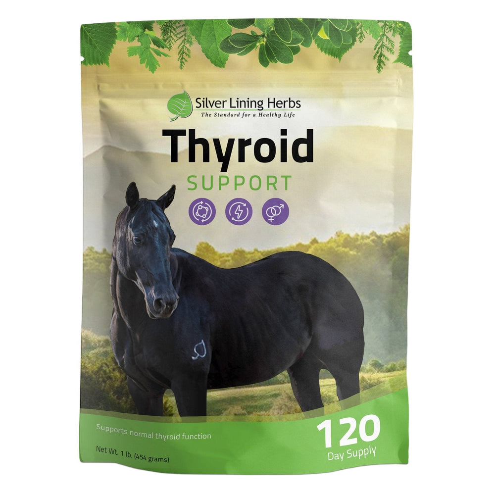 Silver Lining Herbs Thyroid Support for Horses