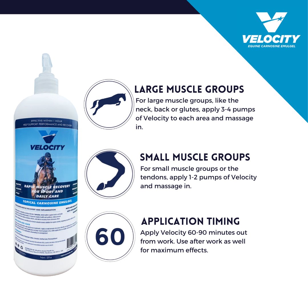 Velocity Carnosine Emulgel - Corro