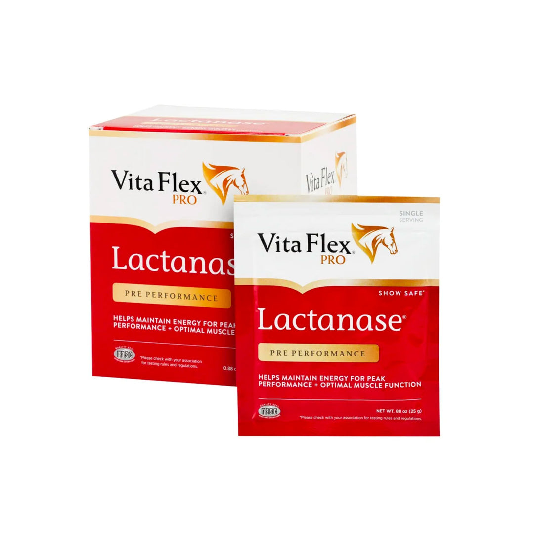 Vita Flex Lactanase Horse Supplement - Corro