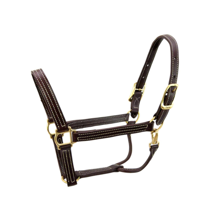 Walsh British Halter - Corro