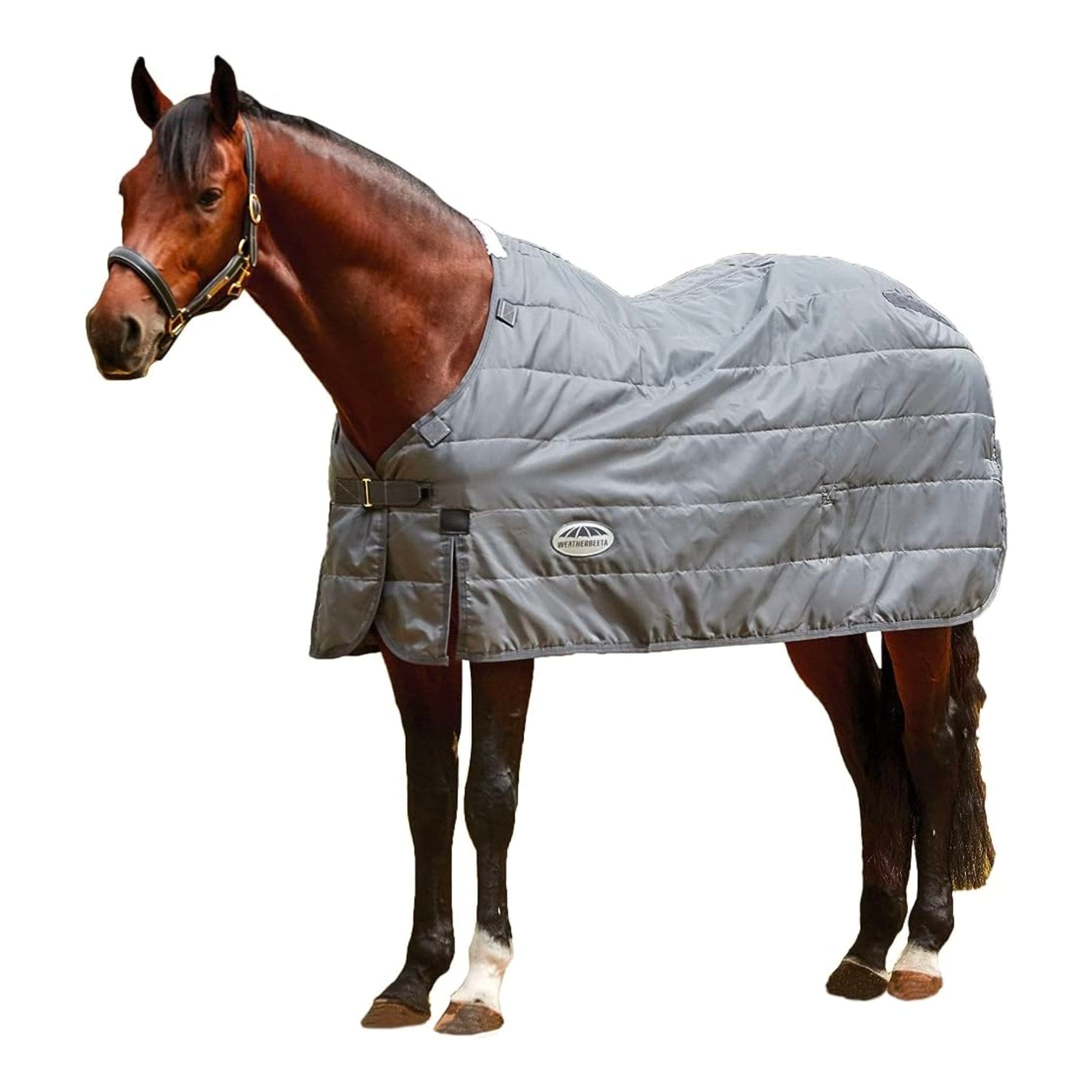 Doublure De Tapis Cheval WeatherBeeta ComFiTec Thermi Heat 100g - Gris (neuf)