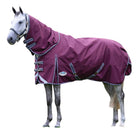 WeatherBeeta Comfitec Plus Dynamic II Detach - A - Neck Medium Turnout Blanket - Corro