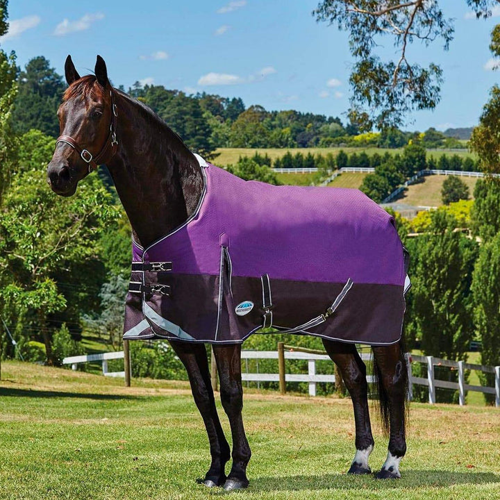 WeatherBeeta Comfitec Plus Dynamic Standard Neck Lite Turnout Sheet - Corro