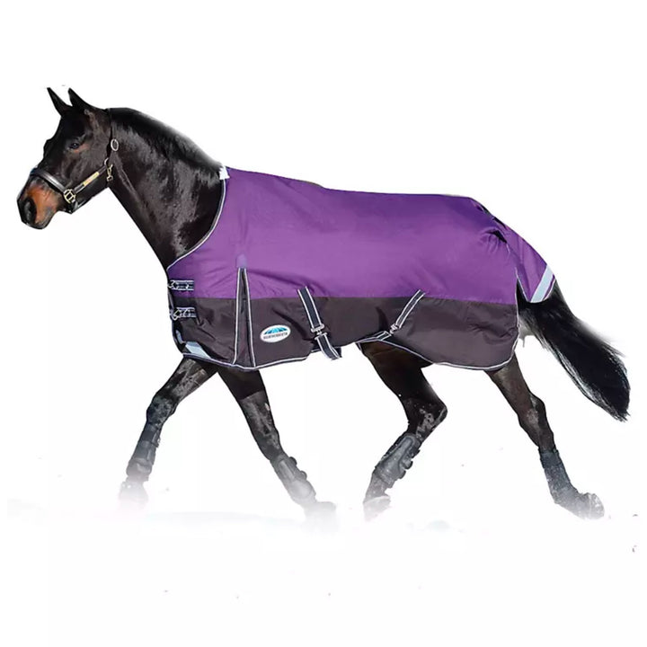 WeatherBeeta Comfitec Plus Dynamic Standard Neck Lite Turnout Sheet - Corro