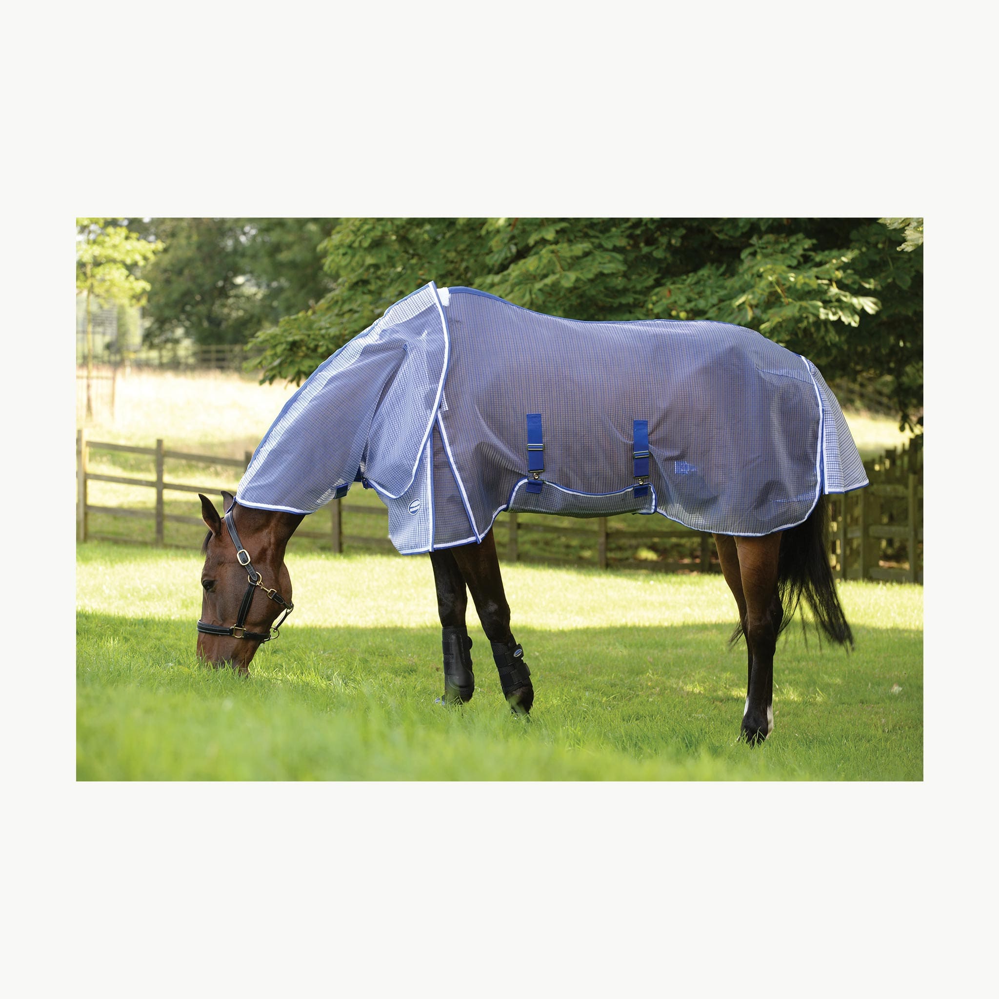 WeatherBeeta Comfitec Ripshield Plus With Belly Wrap and Detach - A - Neck Fly Sheet - Corro