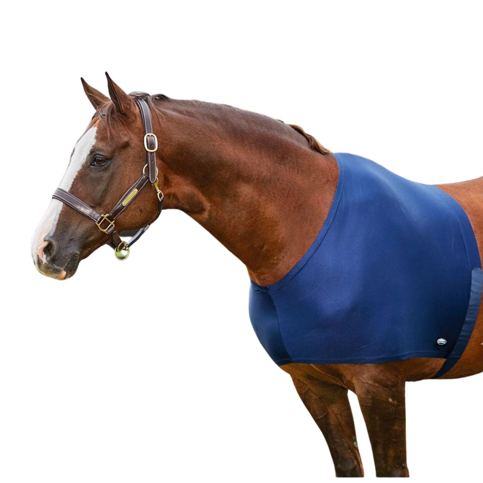 WeatherBeeta Stretch Shoulder Guard - Corro